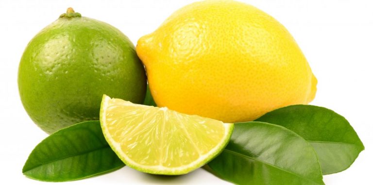 Les atouts santé du citron