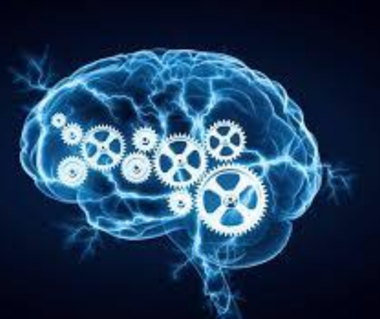 Des techniques simples pour devenir plus intelligent