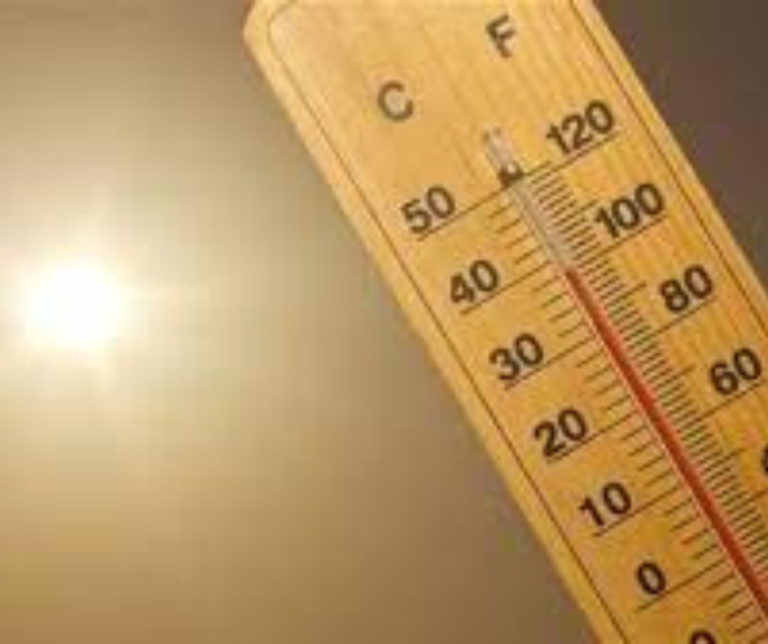 Survivre à la chaleur : un guide des habitudes quotidiennes à Djibouti Survivre à la chaleur : un guide des habitudes quotidiennes à Djibouti